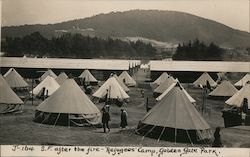 Refugee Camp, Golden Gate Park, after the fire San Francisco, CA Postcard Postcard Postcard