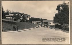 Looking East on Cerritos Avenue, Ingleside Terraces Postcard