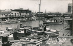 Sicily of the West, Fisherman's Wharf Postcard