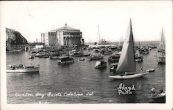 Avalon Bay - Santa Cataline Island Santa Catalina Island, CA Island Photo Postcard Postcard Postcard