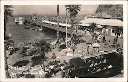 Pleasure Pier Postcard