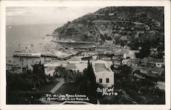 P. K. Wrigley Residence, Catalina Island Avalon, CA Island Photo Postcard Postcard Postcard