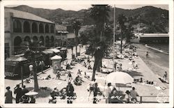 The Beach, Avalon Bay Postcard