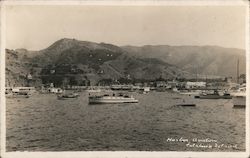 Harbor, Avalon, Catalina Island California Postcard Postcard Postcard