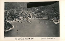 Air View of Avalon Bay Postcard