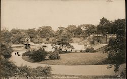 View in Central Park near Bethesda Fountain New York, NY Thaddeus Wilkerson Postcard Postcard Postcard