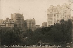 Central Park, near Entrance at 59th Street and Fifth Avenue New York City, NY Traddeus Wilkerson Postcard Postcard Postcard