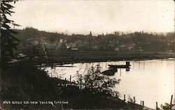 Bird's Eye View of Toledo Oregon Postcard Postcard Postcard