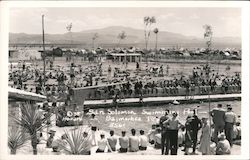 San Solomon Swimming Pool Balmorhea, TX Howard Postcard Postcard Postcard