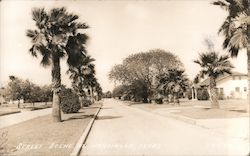 Residential Street Harlingen, TX Postcard Postcard Postcard