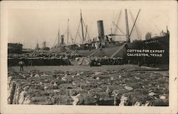 Cotton for Export, Port of Galveston Texas Postcard Postcard Postcard