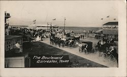 The Boulevard Galveston, TX Postcard Postcard Postcard