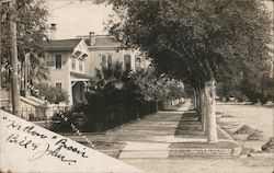 Residential Street Galveston, TX Trube Photo Postcard Postcard Postcard