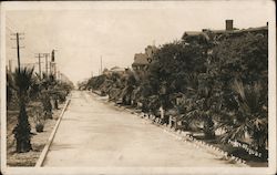 23rd and Broadway Looking West Galveston, TX Trube Photo Postcard Postcard Postcard