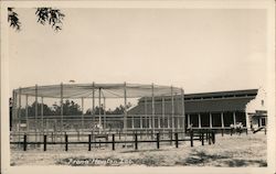 Arena Houston Zoo Postcard