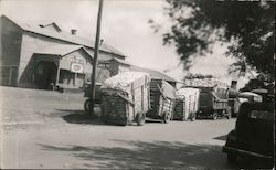 Wagons Loaded with Cotton - San Benito Gin Association Texas Postcard Postcard Postcard