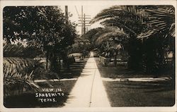 View Into SanBenito, Texas Postcard