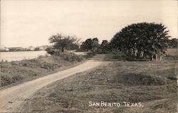 Road Scene Postcard