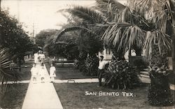 Tree LKined Walkway Postcard