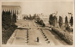 Entrance to Campus, University of Washington Seattle, WA Postcard Postcard Postcard