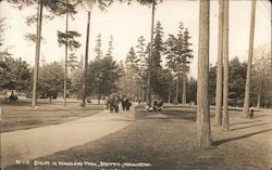 Scene in Woodland Park Seattle, WA Postcard Postcard Postcard