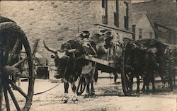 #11 Red River, Fur train Minneapolis, MN Postcard Postcard Postcard