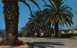 Residential Street in Pacific Palisades, California Postcard Postcard Postcard