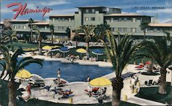 Hotel Flamingo Postcard