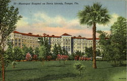 Municipal Hospital On Davis Islands Tampa, FL Postcard Postcard