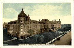 Museum Of Natural History Postcard