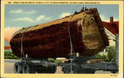 Giant Log En Route To Mill Postcard