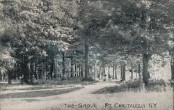 The Grove Chautauqua, NY Postcard Postcard Postcard