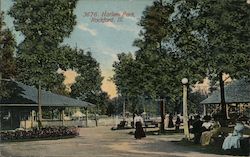 Harlem Park Postcard