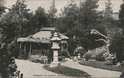 Japanese Tea Garden, Golden Gate Park Postcard