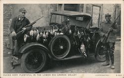 Duck Hunters with Rifles and Ducks, Rio Grande Valley Texas Postcard Postcard Postcard