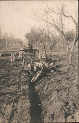 Man plowing orchard Occupational Postcard Postcard Postcard