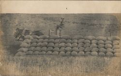 Farmer with Horse-Drawn Equipment, Bags of Grain Occupational Postcard Postcard Postcard