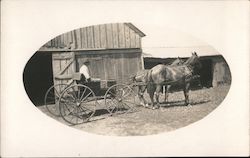 Horse Team and Buggy Postcard