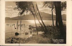 Lake Pátzcuaro Postcard