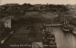 Auckland Waterfront Postcard