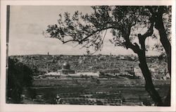 Temple Area Jerusalem, Israel Middle East Postcard Postcard Postcard