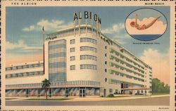 The Albion Miami Beach, FL Postcard Postcard Postcard