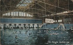 The Plunge Postcard