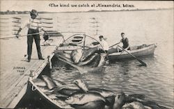 Dipping Them Up "The kind we catch at Alexandria" Minnesota Postcard Postcard Postcard