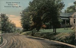 Dunbar Avenue in Forrest Park Excelsior Springs, MO Postcard Postcard Postcard