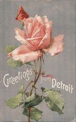 Greetings from Detroit - Pink Roses Postcard