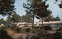 Camellia Motel Postcard