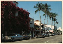 Worth Avenue Palm Beach, FL Postcard Postcard Postcard