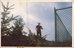 Viking Stymied by a Cyclone Fence Ken Brown Photographic Art Postcard Postcard Postcard