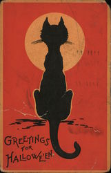 Greetings for Halloween Black Cat Postcard Postcard Postcard